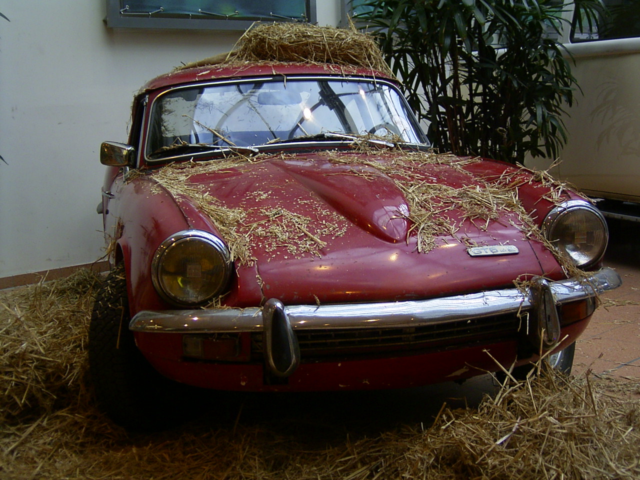 April 2005 - Ausstellung im Citty Park in L&uuml;beck!